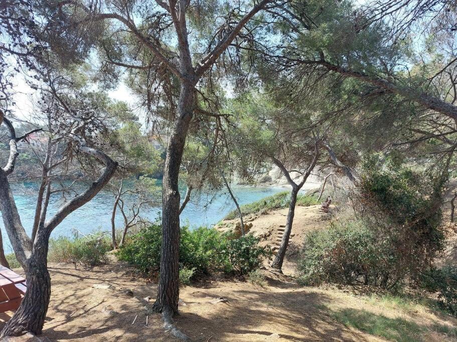 Charmant Mazet - Plage A Pied Saint-Peïre-sur-Mer Eksteriør bilde